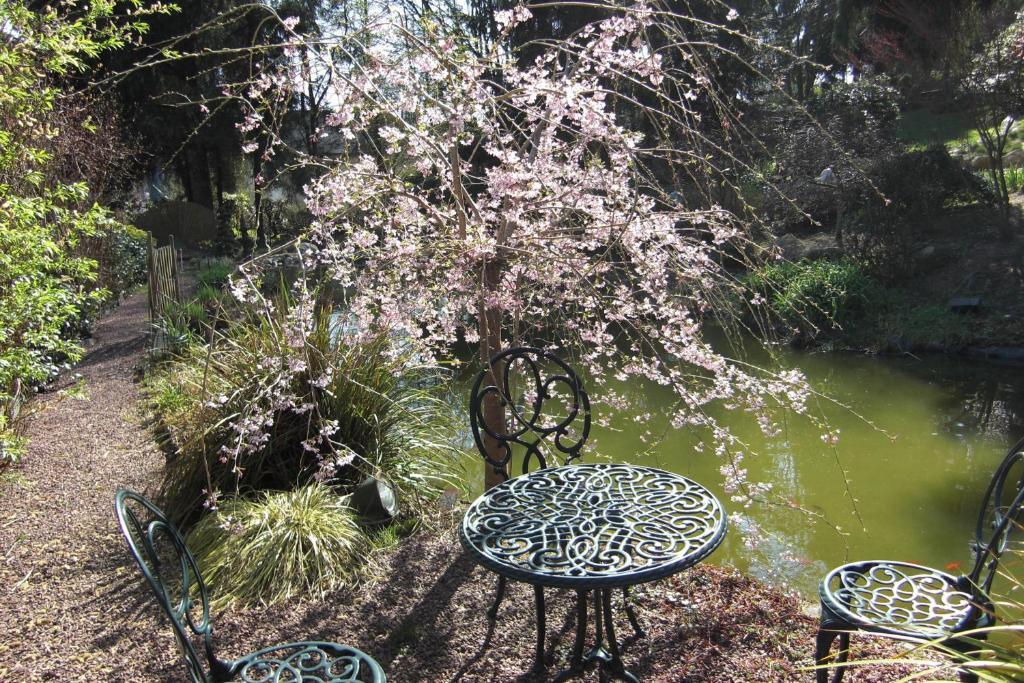 La Chandanielerie Quimper Buitenkant foto